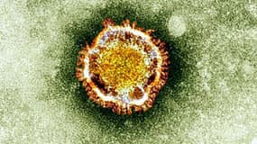 Deux cas mortels du Coronavirus MERS ont été détectés en Corée du Sud.