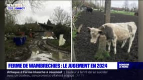 Wambrechies: le jugement du procès de "la ferme de l'horreur" attendu en 2024