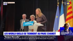 Marseille: un concours mondial des métiers au parc Chanot