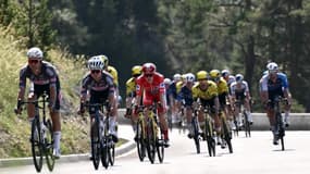 Les coureurs de la Vuelta lors de la 4e étape, le 26 août 2025