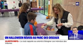 Ain: le parc des Oiseaux aux couleurs d'Halloween