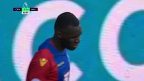 Crystal Palace se maintient et envoie Hull en Championship (4-0)