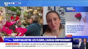 Un bouquet de fleurs est-il dangereux pour la santé? BFMTV répond à vos questions