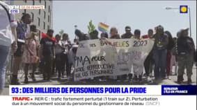 Seine-Saint-Denis: des milliers de personnes pour la pride