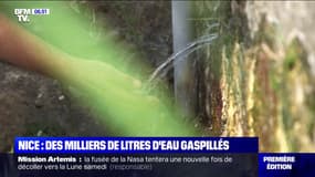 Nice: des milliers de litres d'eau potable gaspillés par des fuites sur un réservoir