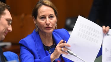 Ségolène Royal se rend sur le lieu du crash A320