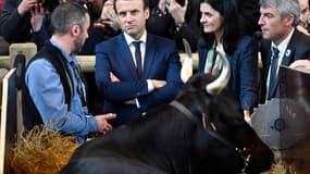 Emmanuel Macron au Salon de l'agriculture, le 1er mars 2017