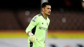 Alphonse Areola