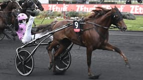 Hooker Berry est le vainqueur du Prix d'Amérique Legend Race