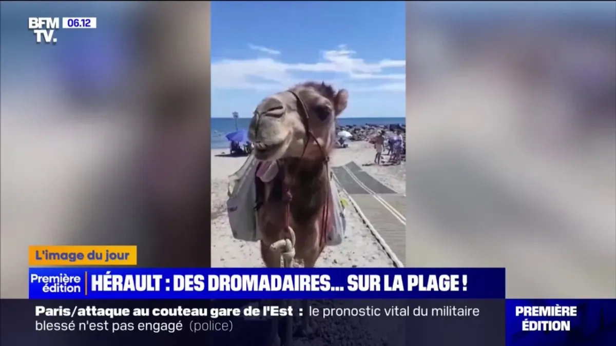 placeholder video