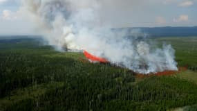Un feu de forêt en Colombie-Britannique (Canada), le 24 juillet 2023.