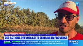 Agriculteurs en colère: de nouvelles actions prévues dans les Bouches-du-Rhône