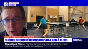 Orne: Flers va accueillir les championnats de France de Tennis de table en juin