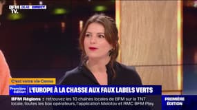 L'Europe part à la chasse aux faux labels écologiques