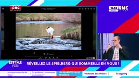 On n'arrête pas le progrès : Réveillez le Spielberg qui someille en vous ! - 03/03