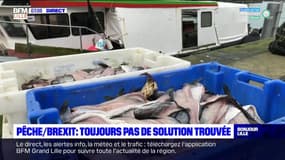 Brexit: toujours pas de solution pour les pêcheurs