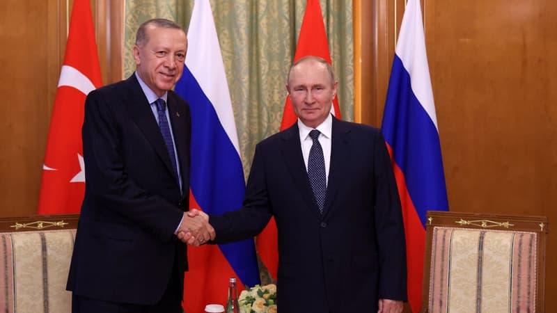 Erdogan confirme que la Turquie paiera en partie le gaz russe en roubles