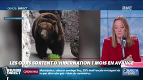Le printemps n'est pas encore là, mais les ours sortent déjà de leur hibernation