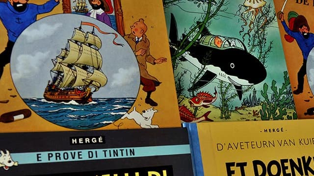 Des couvertures de Tintin traduit dans plusieurs langues, en 2014 (Photo d'illustration).