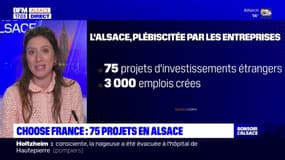 Sommet "Choose France": 75 projets d'investissements étrangers en Alsace