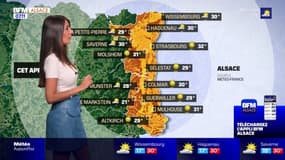 Météo Alsace: grand soleil et températures élevées