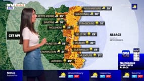 Météo Alsace: grand soleil et températures élevées