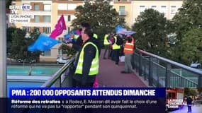 200.000 opposants à la PMA devraient manifester dans toute la France dimanche