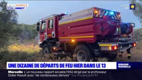 Bouches-du-Rhône: une dizaine de départs de feu signalés mercredi