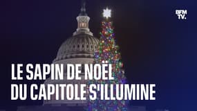 Les images de l’illumination de "Sugar Bear", le sapin de Noël de 25 mètres de haut du Capitole