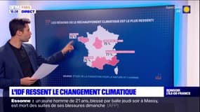 Île-de-France: selon un sondage, 7 Franciliens sur 10 ressentent les effets de la pollution