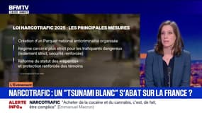 Loi narcotrafic: "C'est une loi qui pose des objectifs qui sont intéressants, mais il n'y a pas de moyens", observe Clotilde Champeyrache, spécialiste des organisations criminelles