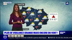 Météo Paris-Ile de France du 10 février: Plus de vigilance orange mais encore du vent !