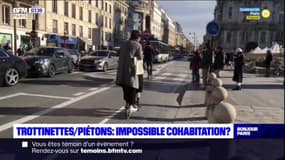Paris: entre trottinettes et piétons, une cohabitation impossible?