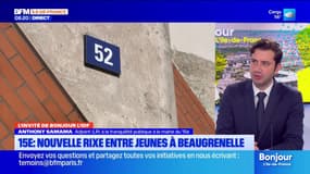  "Des endroits criminogènes par nature": l'adjoint au maire du 15e s'exprime sur la rixe survenue à la dalle de Beaugrenelle