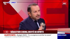 Budget 2025: "Il faut arrêter la politique des chèques", affirme Sébastien Chenu (RN)