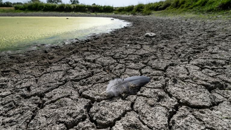 Une mare asséchée près d'un champ à Taillebourg, en Charente-Maritime, le 18 juillet 2022