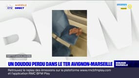 La SNCF lance un appel pour retrouver le propriétaire d'un doudou perdu dans un TER Marseille Avignon