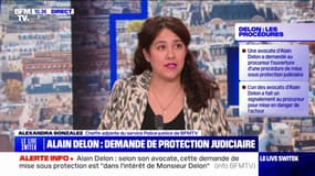Affaire Delon: son avocate demande au procureur l'ouverture d'une procédure de mise sous protection judiciaire