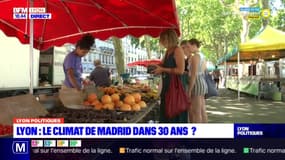 Lyon: le climat de Madrid dans 30 ans ?