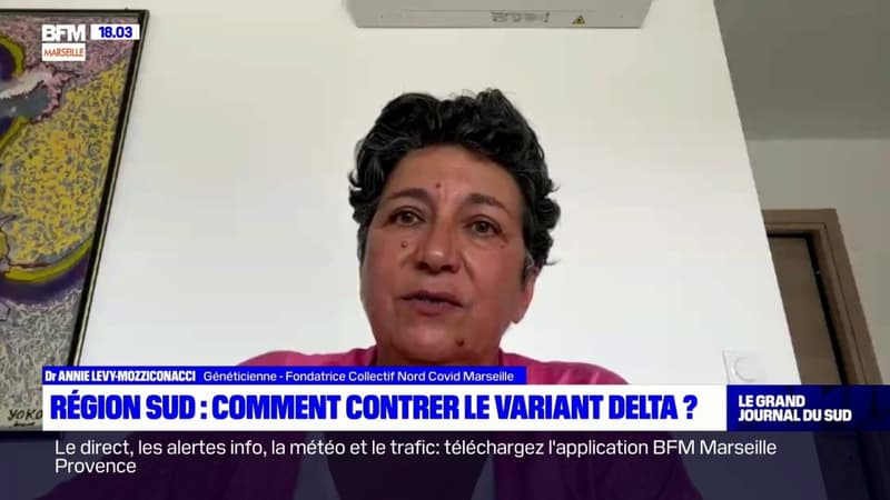 Marseille: la généticienne Annie Levy-Mozziconacci réclame "la vaccination obligatoire pour les soignants"
