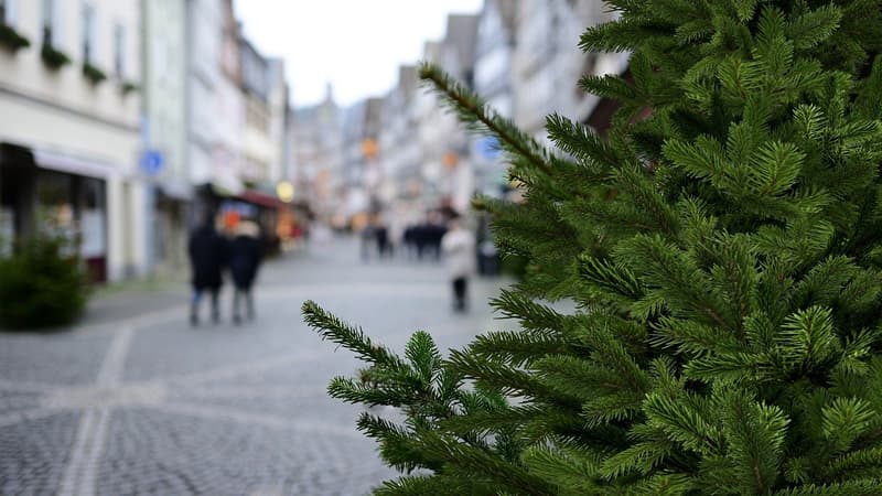 Que risque-t-on à jeter son sapin de Noël dans la rue?