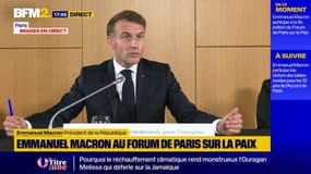 "Ils ne sont pas faits pour partager de l'information": Emmanuel Macron blâme les réseaux sociaux