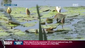 Les Mureaux, un exemple à suivre dans la récupération des eaux pluviales?