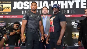 Anthony Joshua et Dillian Whyte en juillet 2023
