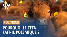 Pourquoi le CETA fait-il polémique ?