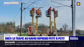 Reprise progressive du trafic entre Le Havre et Yvetot