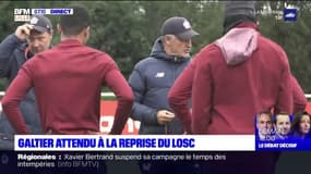 LOSC: Christophe Galtier attendu à la reprise des entraînements, ce jeudi