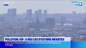 Île-de-France: la pollution responsable d'asthme infantile