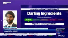 Pépites & Pipeaux: Darling Ingredients - 30/03