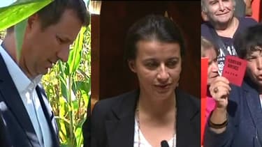 Les quatre candidats à la primaire EELV.
